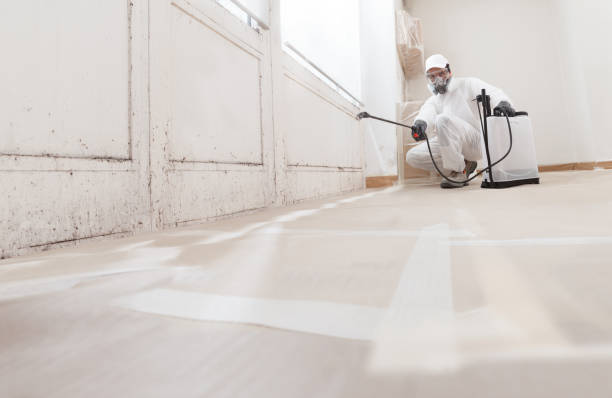 24/7 Emergency Mold Testing experts in Marshall, VA