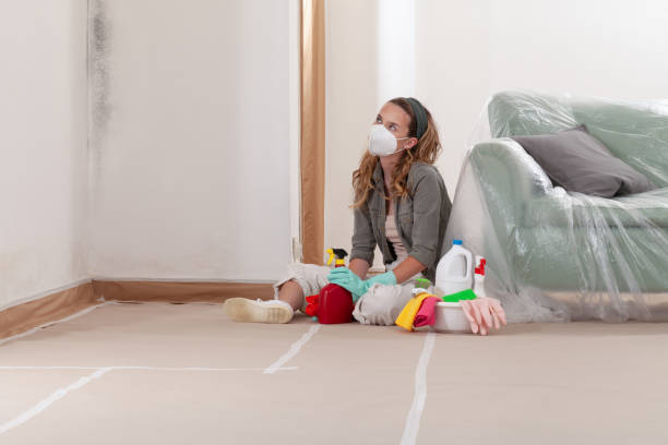 Reliable Mold Testing contractor in Marshall, VA by WQB Mold Removal