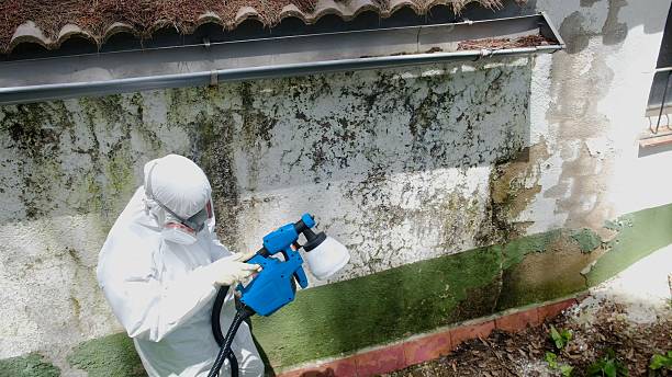 Top rated local Mold Testing specialists in Marshall, VA